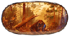 Bear in forest thumbnail