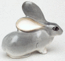Grey Hare Long Ears