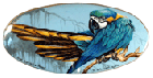 Blue Yellow Macaw Parrot by Yu. Belov thumbnail