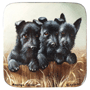 Scottish Terrier Dogs by Yu. Belov