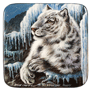 Snow Leopard by Yu. Belov