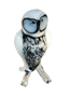 Polar Owl thumbnail