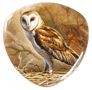 Owl by Yu. Belov thumbnail