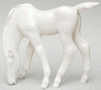 Drinking White Horse